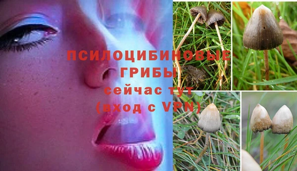 кристаллы Карпинск