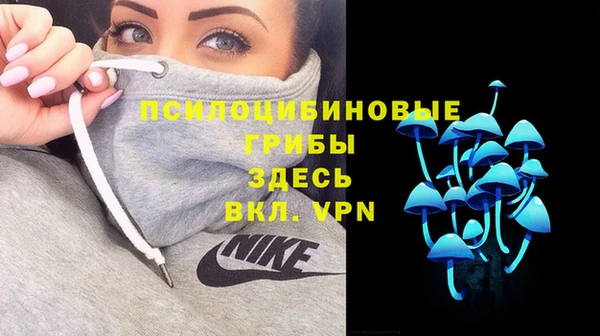 кристаллы Карпинск