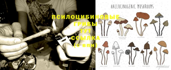 кристаллы Карпинск