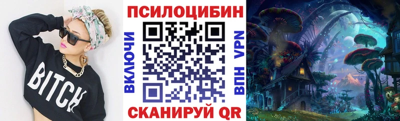 Купить закладки  Великий Новгород  Галлюциногенные грибы MAGIC MUSHROOMS 