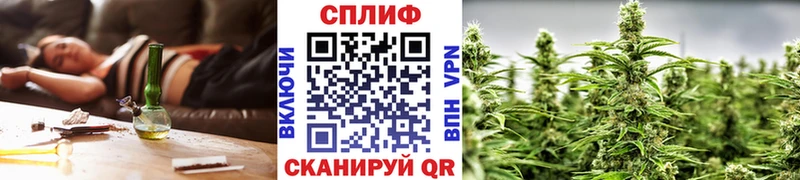 Купить где  Великий Новгород  Конопля план 